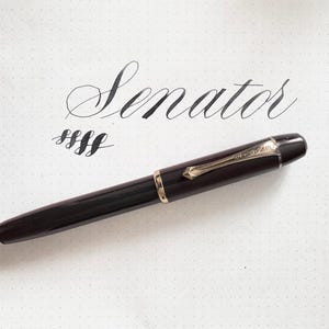 Senator Regent Fountain Pen Flexible