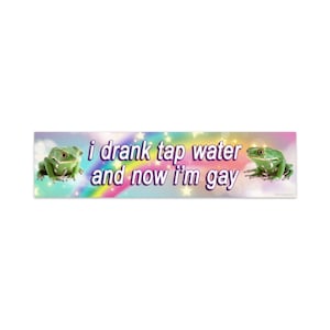 Funny Bumper Sticker - I drank tap water and now i'm gay - gay frog, rainbow, pride, lgbtq, weird car decal, unhinged car sticker, gen z