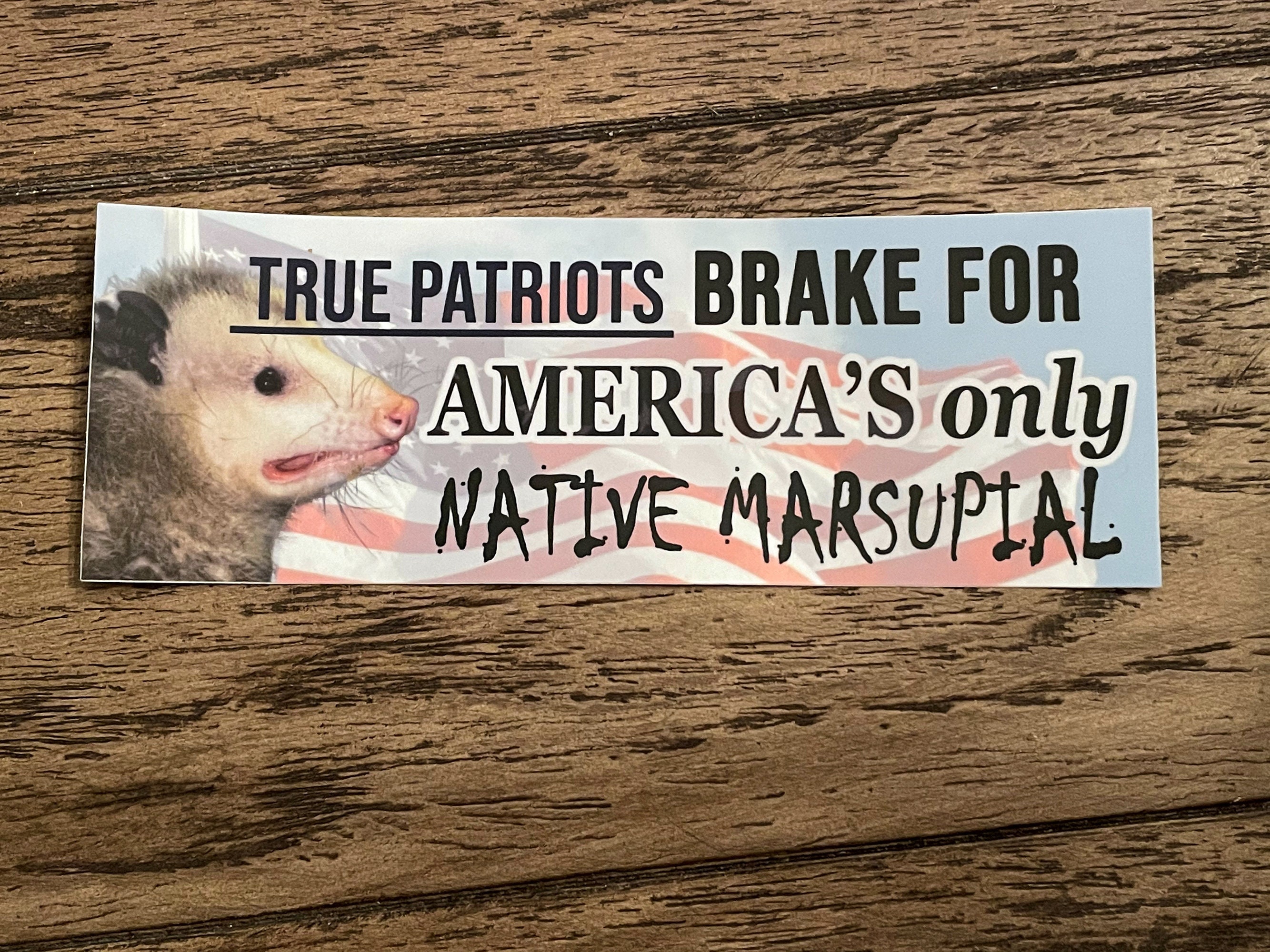 Possum Sticker I Brake For America S Only Native Etsy 日本
