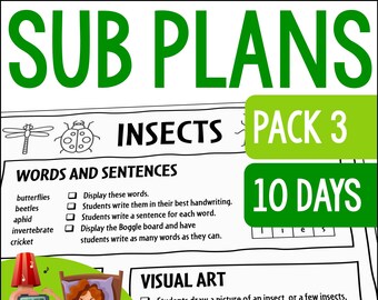 Substitute Activity - Etsy