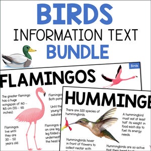 Informatiebladen over vogels voor kinderen, leespassages over vogels, teksten over dierenonderzoek, schoolhomeschool afdrukbare pdf non-fictiepagina's