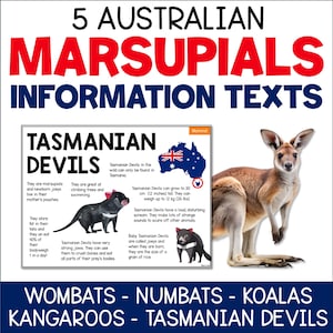 Informatiebladen Australisch buideldier, leespassages dieren, kangoeroes, koala's, wombats Numbats Tasmaanse duivels, thuisonderwijs op school