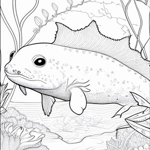 Axolotl Coloring Book Digital Download, Kids Printable Coloring Pages