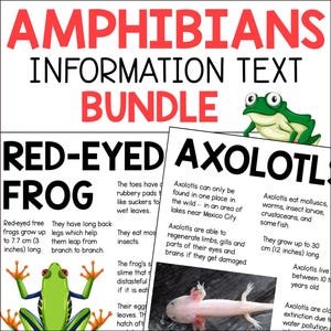 Informatie over amfibieën Factsheets voor kinderen, leespassages over amfibieën, teksten over dieronderzoek, afdrukbare pdf-pagina's school thuisonderwijs