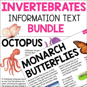 Informatie over ongewervelde dieren Factsheets voor kinderen, passages voor het lezen van dieren voor thuisonderwijs op school, non-fictie afdrukbare pdf-pagina's om te lezen