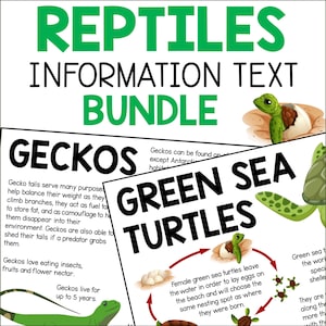 Informatiebladen over reptielen voor kinderen, leespassages leuke weetjes over reptielen, teksten over dierenonderzoek, thuisonderwijs school printbare pdf