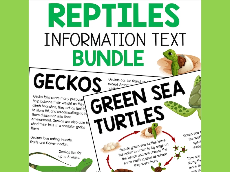 Reptile Information Fact Sheets for Kids, Reading Passages Fun Facts ...