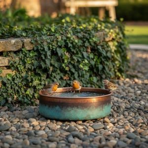 Puede incluir: Un bebedero para pájaros de cobre con pátina turquesa, lleno de agua, sobre un lecho de guijarros. Tres pájaros pequeños están posados en el borde y en el agua. Un muro de piedra y exuberante vegetación en el fondo.