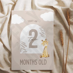 Cartes bébé à imprimer