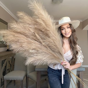 Può includere: Un grande mazzo di erba della pampa essiccata con piume beige. Gli steli alti e piumosi sono tenuti insieme, creando un'esposizione piena e strutturata. La tavolozza di colori neutri lo rende un elemento decorativo versatile.