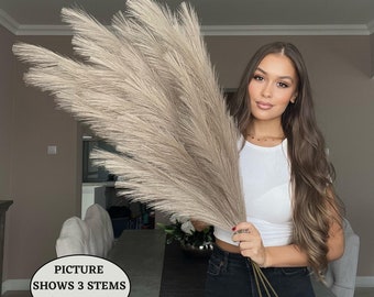 x3 STEMS 115cm Extra Large Tall Fluffy TAUPE Fake Faux Artificial Pampas Grass Feathers Floor Vases Fillers Boho Chic Home Decor