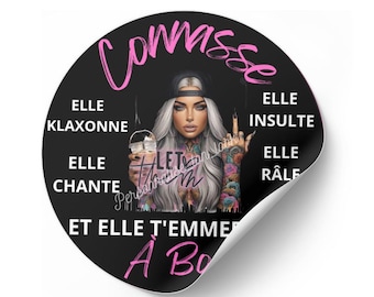 Autocollant Voiture Humoristique 'Me Colle Pas' - Sticker Drôle Et Résistant UV, Idée Cadeau Marrante
