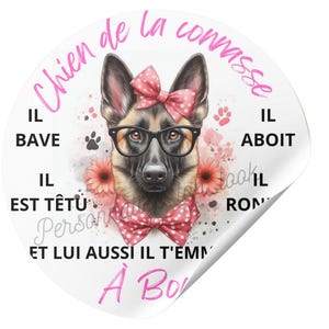 car stickers humor dog bitch car sticker car accessories vehicle sticker self-adhesive vehicle stickers dogs