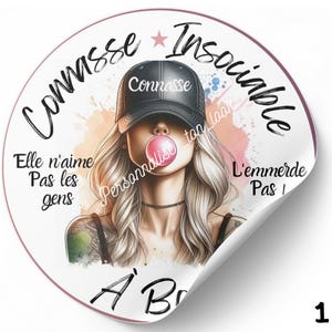car stickers bitch Unsociable on board funny car bumper sticker car accessories vehicle sticker auto stickers