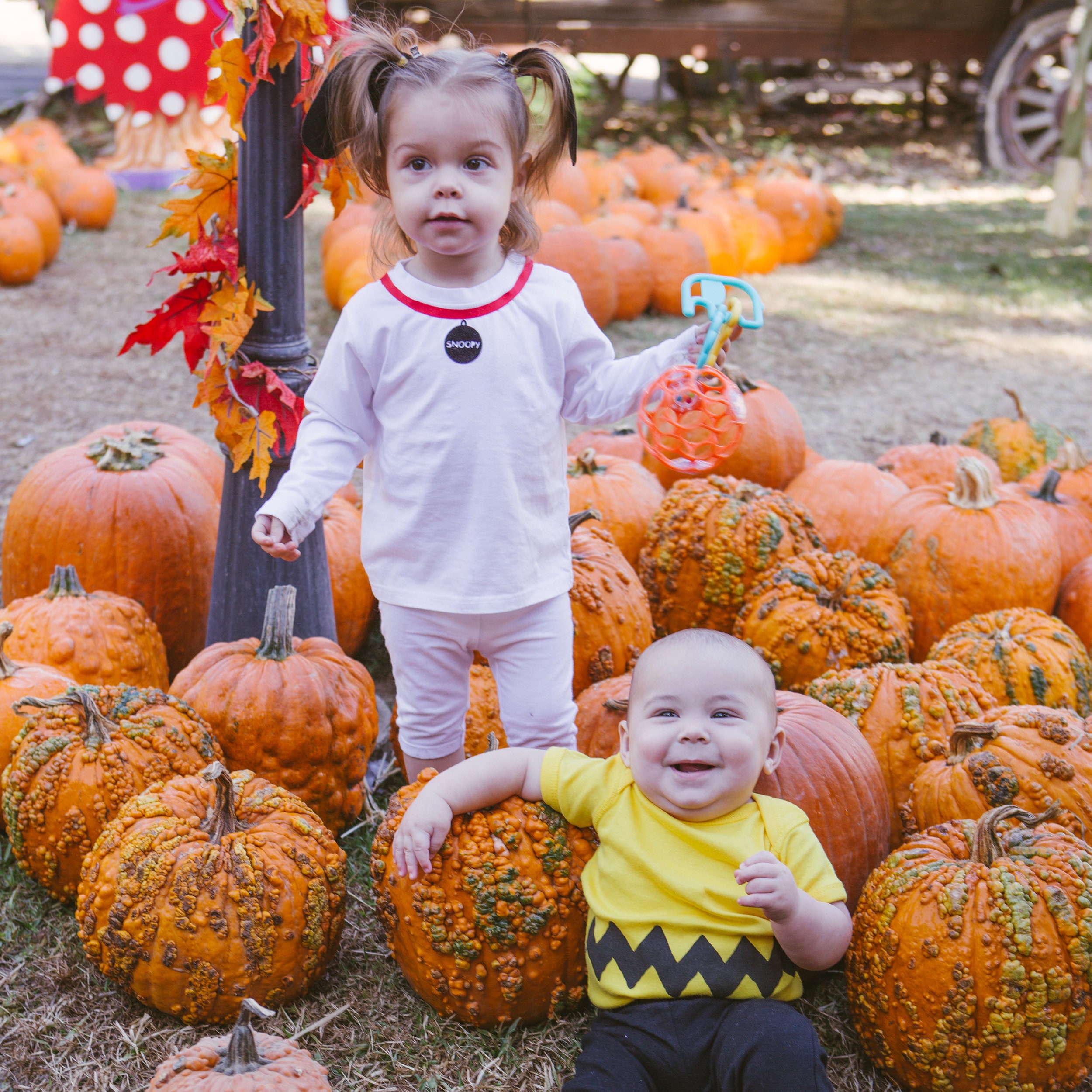 Snoopy Costume Svg, Snoppy Dog Tag Svg, Peanuts Inspired Halloween