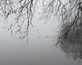 Fog on the lake