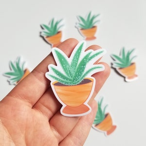 Pegatina de Aloe Vera / Pegatina de plantas / Arte suculento / Planta de aloe / Regalo para amantes de las suculentas