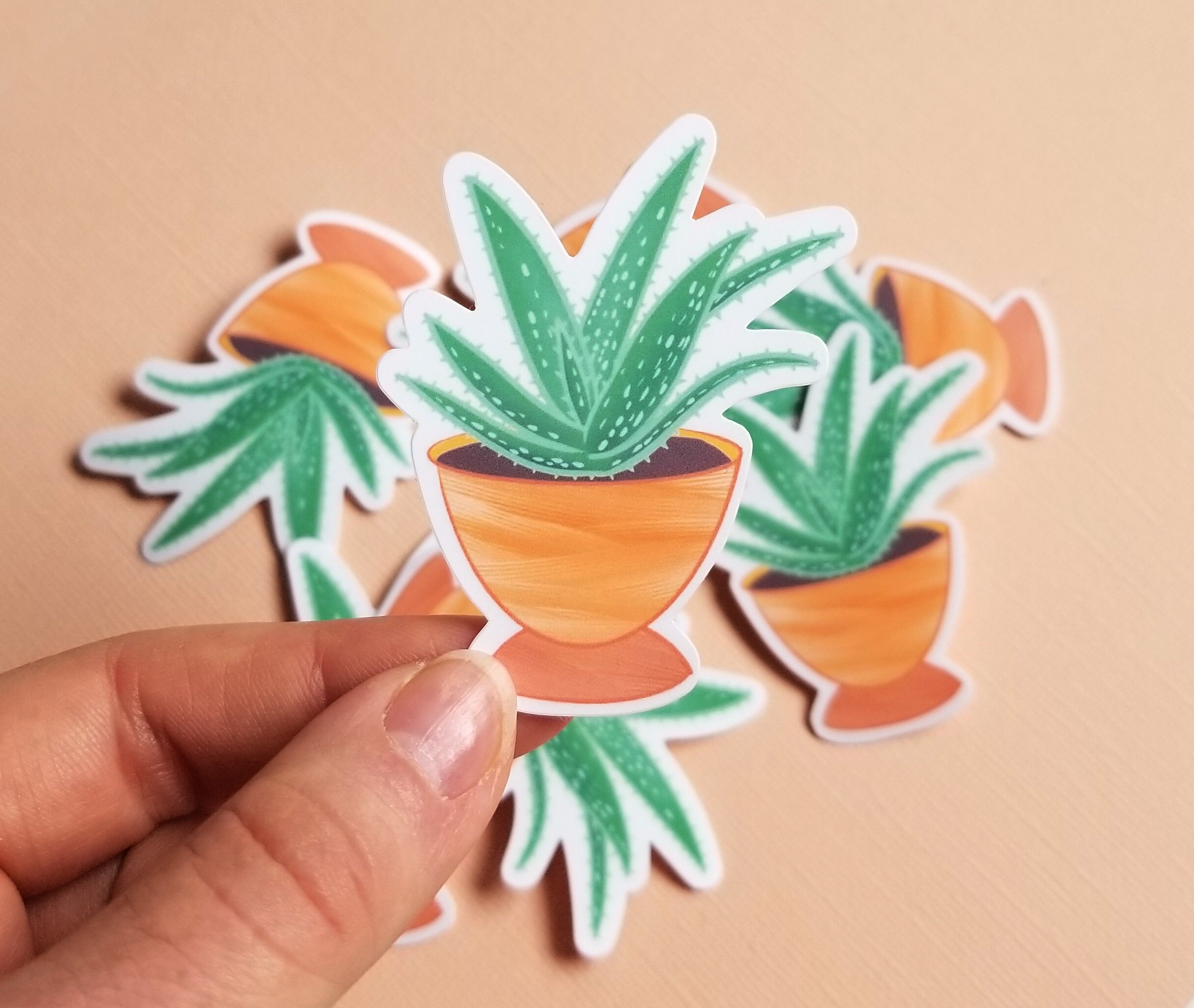 Aloe Vera Sticker | Plant Sticker | Succulent Art | Aloe Plant | Gift ...