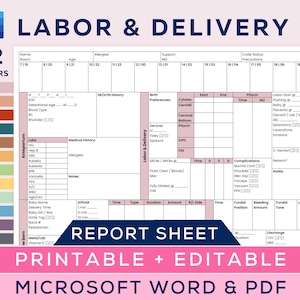 Relatório de Enfermeira de Trabalho de Parto e Parto, Folha de Enfermeira para 1 a 2 Pacientes, Enfermeira de Trabalho de Parto e Parto, Pós-parto, Microsoft Word editável, PDF
