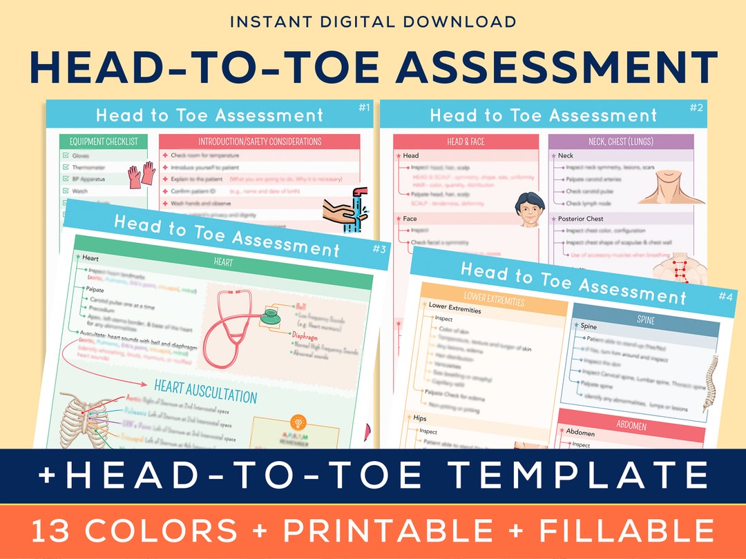 Head-To-Toe Assessment Study Guide for Nursing Students - Etsy.de