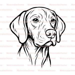 Vizsla Kopf svg, ungarisch Vizsla Gesicht svg, Vizsla Gesicht Umriss svg, Vizsla Hundekopf Clipart, Vizsla Hundegesicht Vektor, Vizsla Kopf Skizze