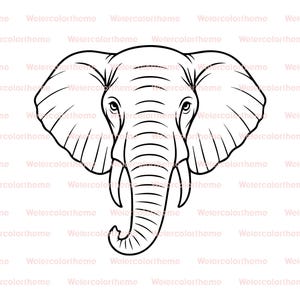 May include: A black and white line drawing of an elephant's head. The elephant has large ears, a long trunk, and a detailed face.