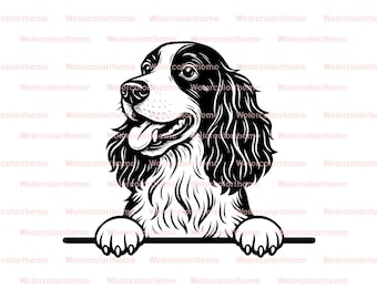 spaniel peeking svg,english springer spaniel svg,springer spaniel svg,brittany spaniel svg,english springer svg,brittany spaniel svg