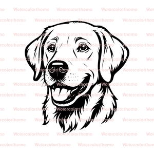 May include: A black and white line drawing of a Golden Retriever's head, smiling with its mouth open. The dog's fur is detailed, and the image has a clean, graphic style. The background is white with a watermark.