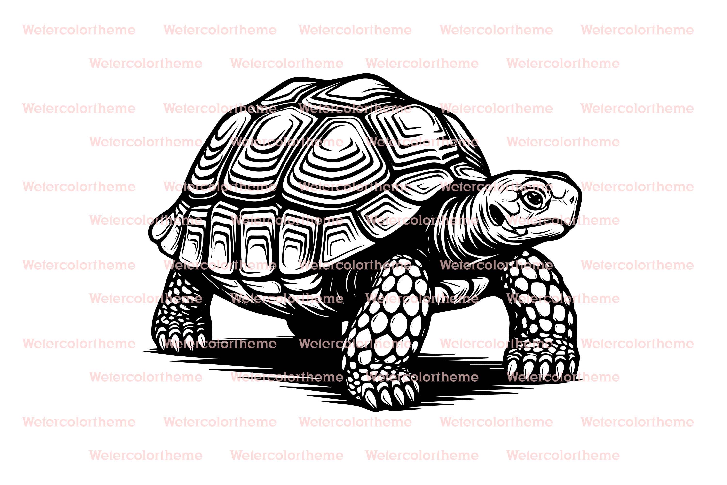 Galapagos Tortoise Svg,galapagos Turtle Svg,tortoise Vector Art ...