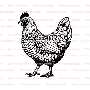 poulet svg, dessin au trait poulet, clipart poule, poulet contour svg, clipart poulet noir et blanc, clipart poule poulet, dessin au trait poulet