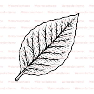 タバコの葉のクリップアート、タバコの葉のSVG、タバコの葉のシルエット、タバコのベクターSVG、タバコの葉の線画