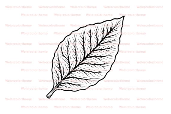 tobacco leaf clipart Tobacco Leaf Clipart,tobacco Leaf Svg,tobacco Leaf Cricut,vector Tobacco  Leaf,tobacco Cricut Svg,tobacco Cut File