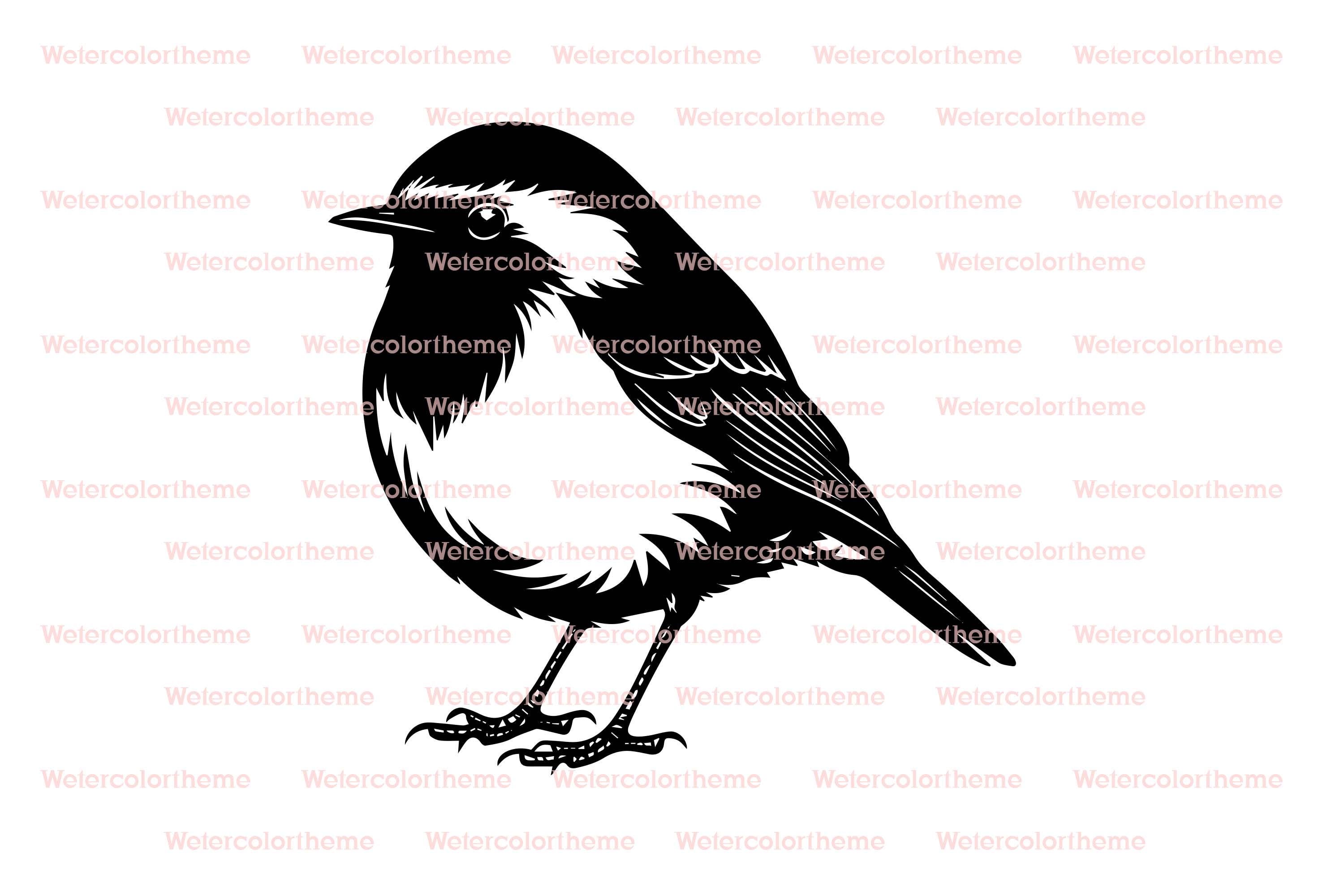 Robin Line Vector Robin Line Art,robin Bird Svg,robin Line Drawing,black and White Robin ...