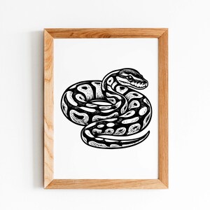 K&ouml;nnte beinhalten: Ein gerahmter Kunstdruck mit einer detaillierten Schwarz-Wei&szlig;-Illustration einer zusammengerollten Schlange. Die Schlange hat ein Muster und ist vor einem wei&szlig;en Hintergrund platziert. Der Rahmen ist aus hellem Holz.