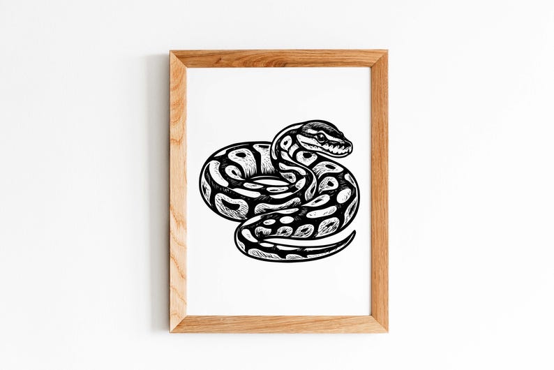 K&ouml;nnte beinhalten: Ein gerahmter Kunstdruck mit einer detaillierten Schwarz-Wei&szlig;-Illustration einer zusammengerollten Schlange. Die Schlange hat ein Muster und ist vor einem wei&szlig;en Hintergrund platziert. Der Rahmen ist aus hellem Holz.