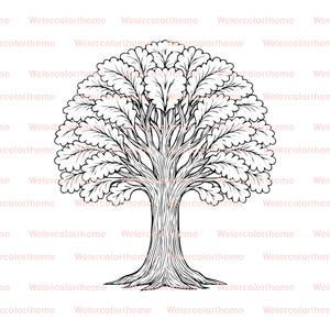 Op de afbeelding: Een gedetailleerde zwart-wit illustratie van een boom met een volle, afgeronde kruin van bladeren. De stam en takken van de boom zijn ingewikkeld getekend en tonen een natuurlijk, botanisch thema. De afbeelding heeft een strakke, minimalistische esthetiek.