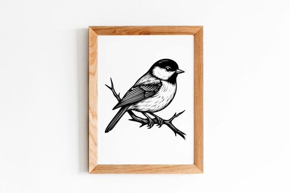 Line Drawing Of Robin