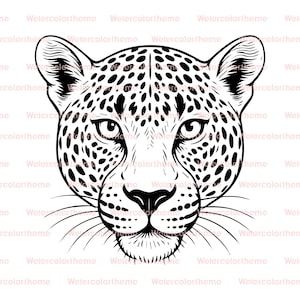 May include: Black and white illustration of a leopard's face. The leopard's face is centered, with detailed lines defining its features, including spots, whiskers, and expressive eyes. The design is suitable for various applications.