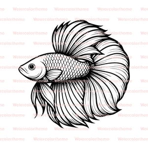 Pode incluir: Ilustração a preto e branco de um peixe Betta, com detalhes precisos das escamas e barbatanas fluidas. A imagem é um desenho a traço sobre um fundo branco, que realça a forma elegante do peixe.