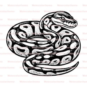 May include: Black and white illustration of a coiled snake. The snake's body is patterned with dark spots and markings, and its head is detailed with scales and a visible eye. The artwork has a hand-drawn, linocut style.