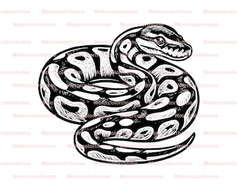 Ball Python svg,ball Python Aufkleber, Ball python png,ball python dxf Datei,ball python vektor,ball python schnittdatei