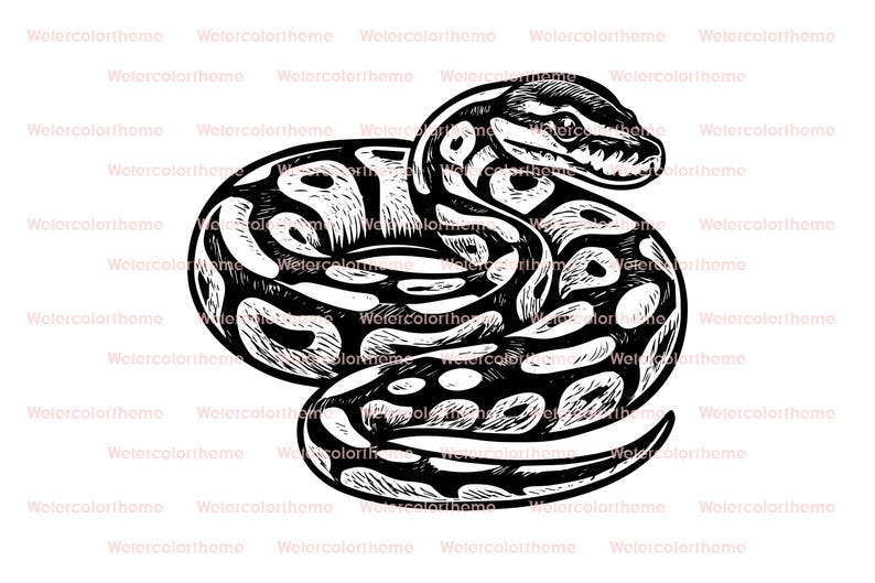 K&ouml;nnte beinhalten: Schwarz-Wei&szlig;-Illustration einer sich ringelnden Schlange. Der K&ouml;rper der Schlange ist mit dunklen Flecken und Markierungen versehen, der Kopf mit Schuppen und einem sichtbaren Auge. Die Kunst hat einen handgezeichneten Linolschnitt-Stil.