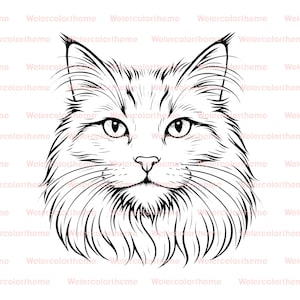 Silueta de Maine Coon, dibujo de Maine Coon, contorno de Maine Coon, gato Maine Coon SVG, Maine Coon SVG, clipart de Maine Coon, vector de Maine Coon