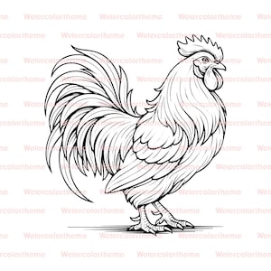 May include: A detailed black and white illustration of a cockerel in profile. The cockerel has a large, flowing tail and detailed feathers. The image is a line drawing, suitable for colouring or print.