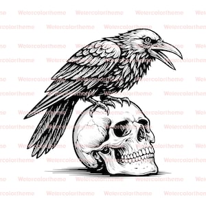 May include: A detailed black and white illustration of a raven perched atop a human skull. The raven is depicted with its beak open, and the skull has visible teeth and eye sockets. The artwork is a gothic or macabre theme.