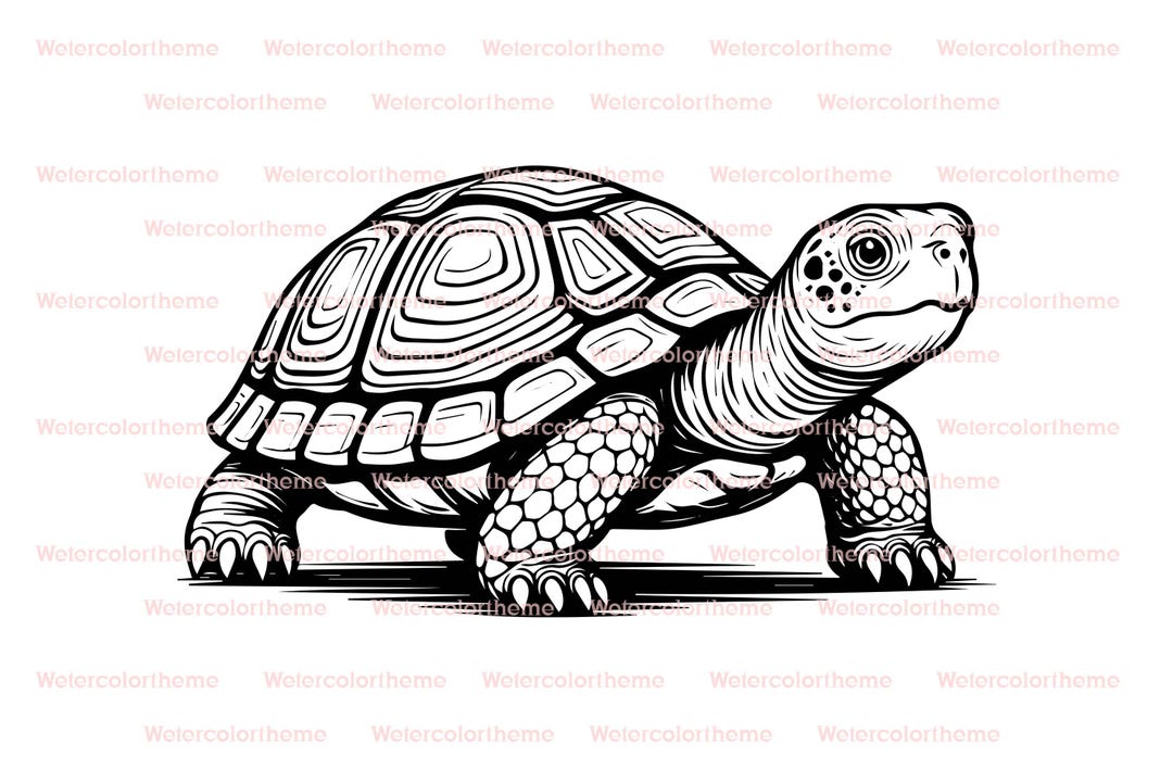 Box Turtle Svg,box Turtle Clip Art,box Turtle Silhouette,turtle Clipart ...
