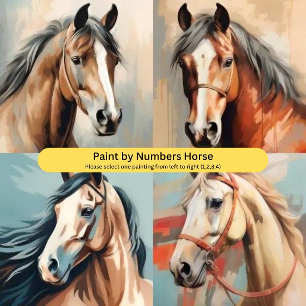 Paint by Numbers Horse Paint by Numbers Adult Kits Paint by Number Kit Adult Beginner Peinture Numro Gift for Him Gift for Her