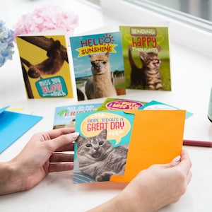 24 Funny Greeting Cards Set with Envelopes - 24 Unique Designs with No Repeats - Cute 4.5” x 6.25” Blank Boxed Animal Note Cards Pack
