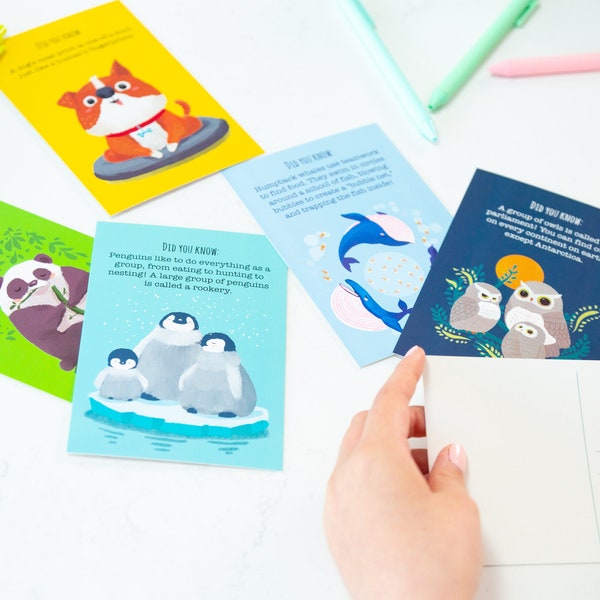 40 Animal Fun Fact Postcards - Bulk Thinking of You Postcard Pack for Kids, Students, Friends, Teacher, and More