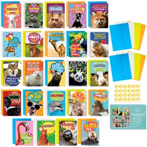 24 Funny Animal Greeting Cards - 24 Unique Designs with No Repeats - Humorous Joke Notecards Set with Envelopes and Gold Stickers